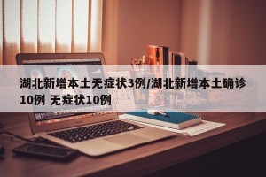 湖北新增本土无症状3例/湖北新增本土确诊10例 无症状10例