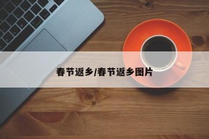 春节返乡/春节返乡图片