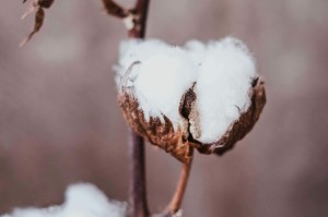 如何评估凌云海糖厂的运营状况？这种评估方法有哪些实际应用？