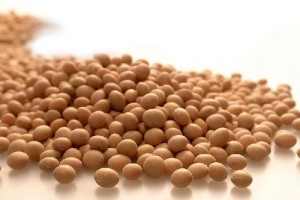 如何了解大豆到港成本？这种了解方法有哪些局限性？