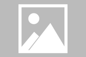 【北京九区报告确诊病例,北京九区报告确诊病例多少】