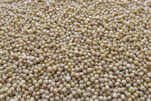 仓单大豆粕的需求情况如何？怎样满足这种需求？